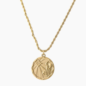 Eng ravely Zodiac Coin Necklace with Rope Chain